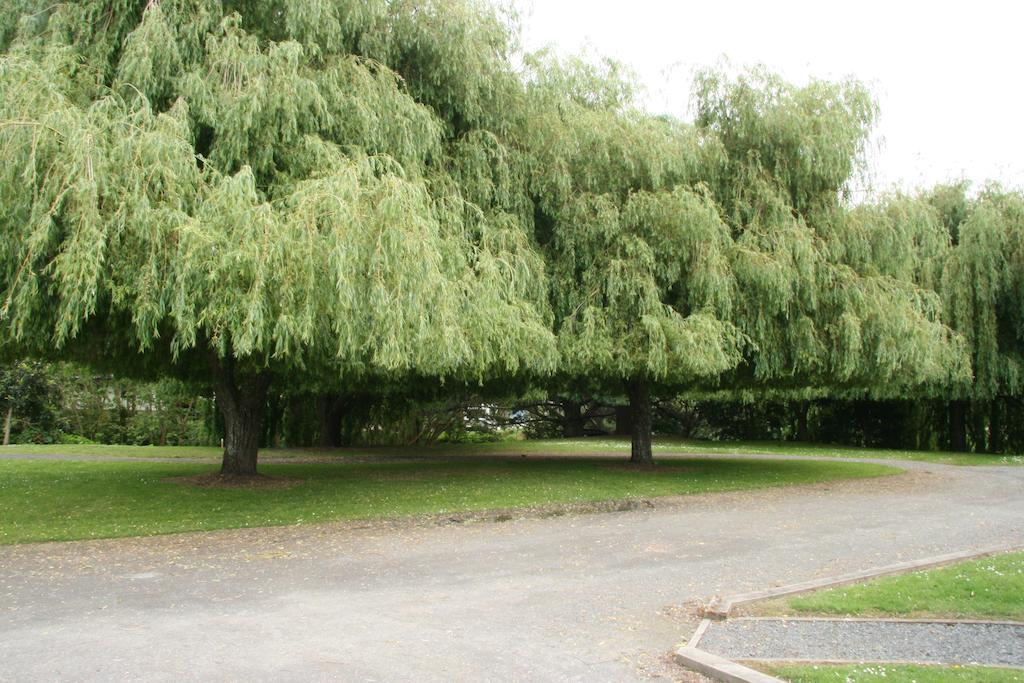 Whangarei Central Holiday Park Экстерьер фото